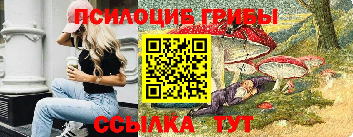 Галлюциногенные грибы Psilocybe  Вход с VPN  Урай  Галлюциногенные грибы Psilocybine cubensis 